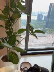 -颜和骨正&明星徒手小颜整骨