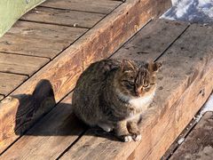 -峡谷浮石林景区