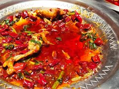 -美蛙四季(亦庄店)