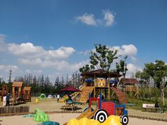 -上海长兴岛郊野公园