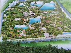 -青城公园
