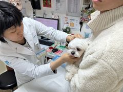 -美联众合动物医院·24h转诊中心
