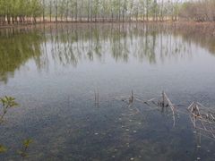 -微山湖红荷湿地景区