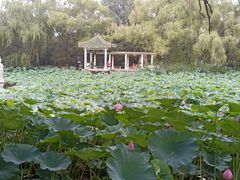 -北陵公园