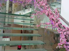 -上海月星家居(澳门路店)