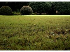 -上海兴国宾馆香樟园西餐厅