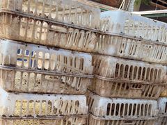 -满記土窑烧鷄波浪山莊