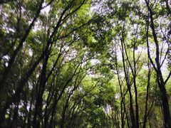 -同里国家湿地公园