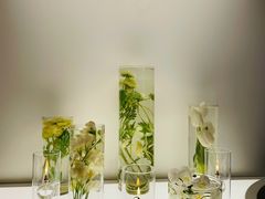 -BLACKSWAN黑天鹅(新希望店)