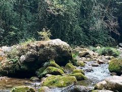 -后柳水乡