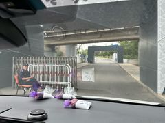 -永定河休闲森林公园