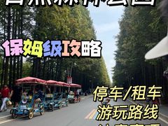 -日照海滨国家森林公园