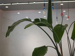 -CAR4卡孚 XPEL官方旗舰店(天目里店)