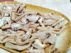 -顺德哥卜卜贝(旗舰店)