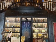 -雪灵魔法世界SHELLY’S TAROT(大良桂畔里店)