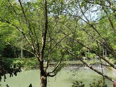 -灵栖洞天