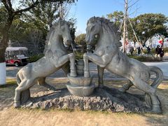 -东钱湖小普陀景区