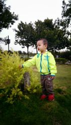 android_upload_pic-云湖游乐园