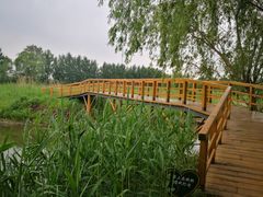 -白渔泡湿地公园