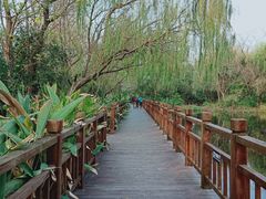 -溱湖国家湿地公园