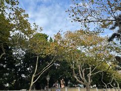 -八大关景区