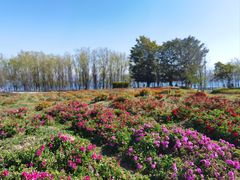 -崇圣寺三塔文化旅游区