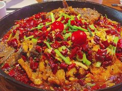 -老板恋上鱼(恒隆广场店)