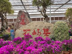 -沂蒙云瀑洞天景区