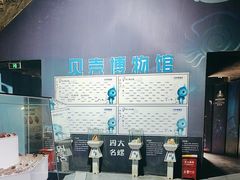 -贝壳梦幻世界