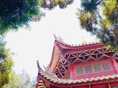 -莆田湄洲妈祖祖庙