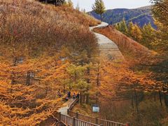 -苏木山森林公园