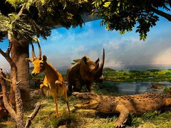 -国家自然博物馆