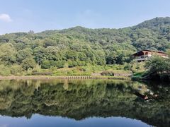 -桃花岭景区