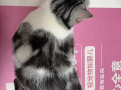 -全心全意动物诊疗中心医院(北苑店)
