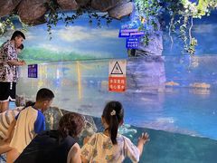 -烟台海昌鲸鲨海洋公园