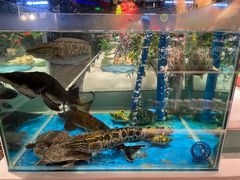 -SEA西雅图海鲜自助餐厅(海乐世界店)