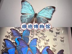 -聚福山莊·寻味顺德(北滘店)