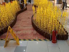 -鹏欣水游城