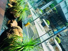 -外滩悦榕庄·海怡西餐厅