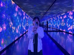 -新加坡摩天观景轮