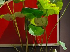 -观宴·品质赣菜(高新大道店)