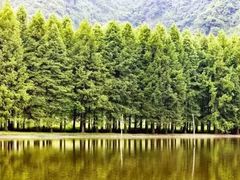 -汉中石门栈道景区