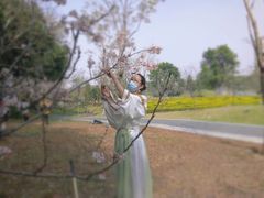 -王借岗森林公园