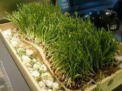 -夫妻肺片·中华老字号·正宗川菜(春熙路店)