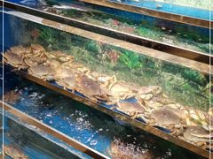 -小贝壳酒楼(经九路店)