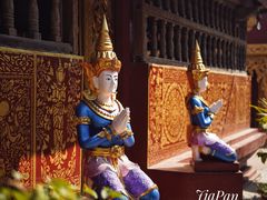 -西双版纳傣族园