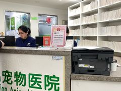 -爱侣宠医·鹦鹉专科·小型哺乳类·异宠专科(灵石路店)