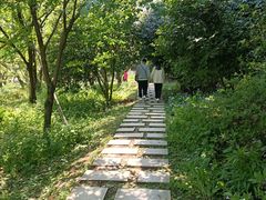 -苏州上方山国家森林公园