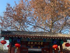 -百脉泉景区