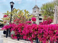 -珠江夜游西堤码头